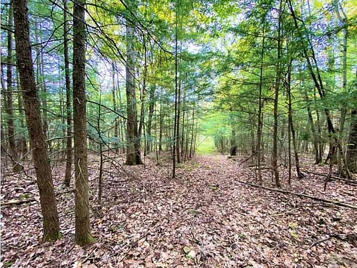 14 Acres of Land for Sale in Tuscarora Town, New York