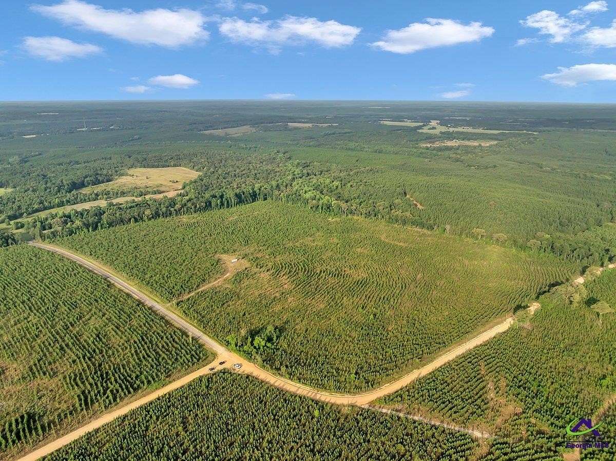 12.8 Acres of Land for Sale in Reynolds, Georgia