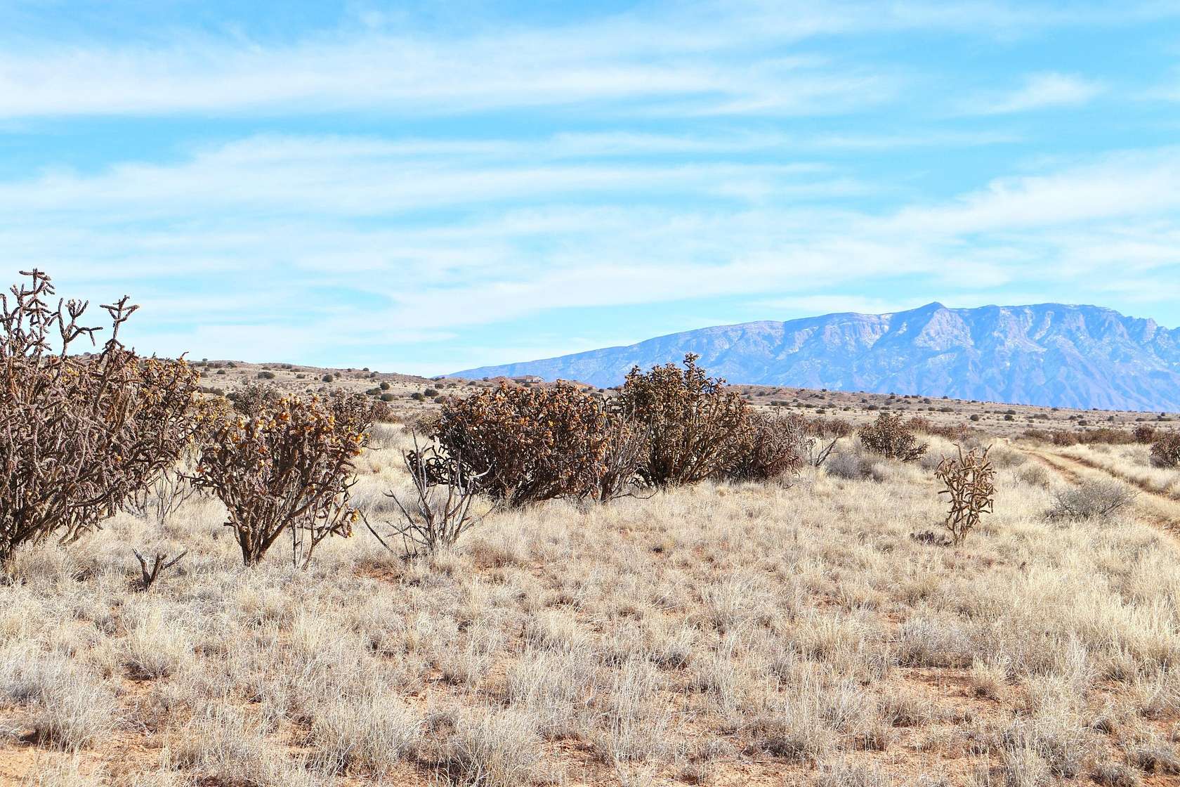 1.5 Acres of Residential Land for Sale in Rio Rancho, New Mexico