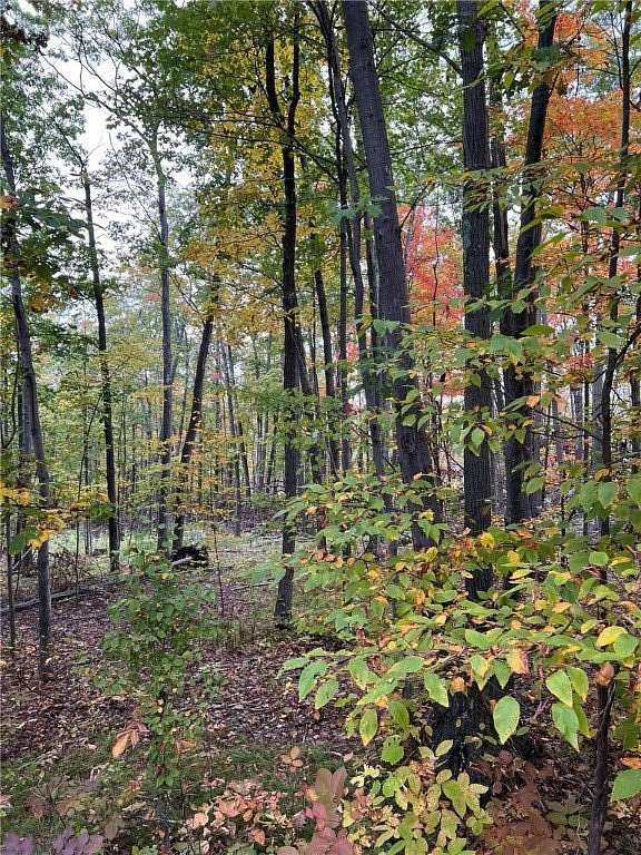 6.36 Acres of Residential Land for Sale in Corning, New York