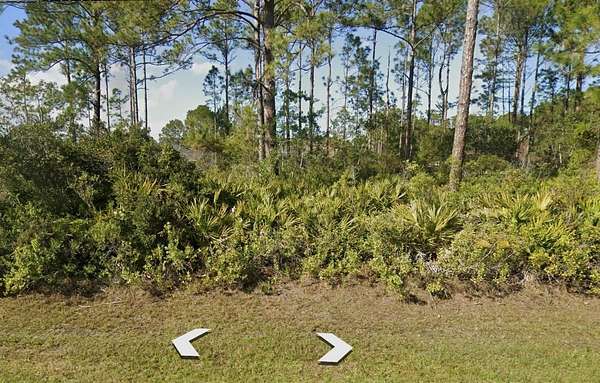 0.25 Acres of Residential Land for Sale in Palm Coast, Florida