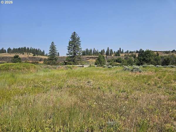 20.3 Acres of Land for Sale in Goldendale, Washington