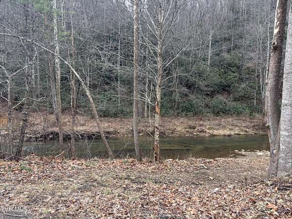 8.73 Acres of Land for Sale in Laurel Bloomery, Tennessee