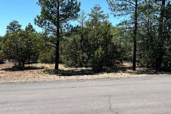 0.2 Acres of Residential Land for Sale in Lakeside, Arizona