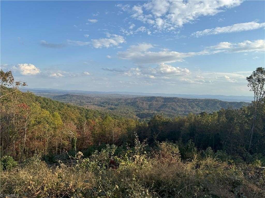 12.3 Acres of Recreational Land for Sale in McGrady, North Carolina