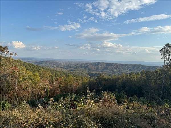 12.3 Acres of Recreational Land for Sale in McGrady, North Carolina