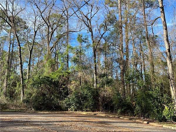 0.32 Acres of Residential Land for Sale in Tuscaloosa, Alabama