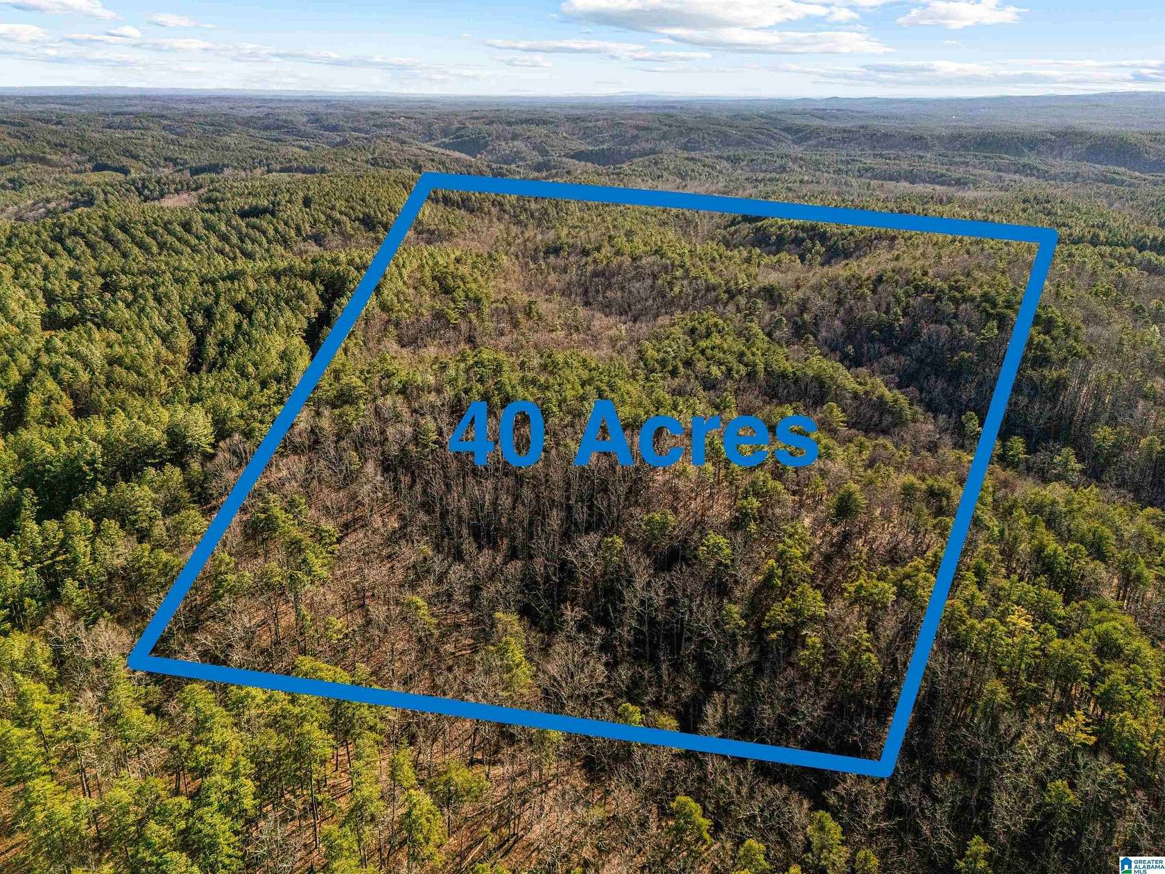 40 Acres of Recreational Land for Sale in Piedmont, Alabama