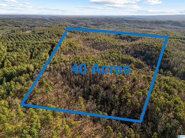 40 Acres of Recreational Land for Sale in Piedmont, Alabama
