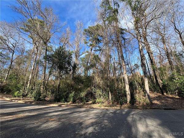 0.3 Acres of Residential Land for Sale in Tuscaloosa, Alabama