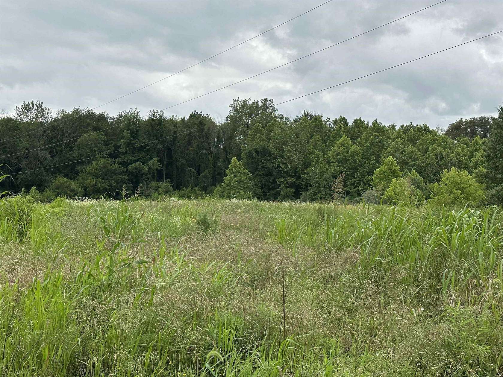 30 Acres of Recreational & Residential Land for Sale in Henderson, Kentucky