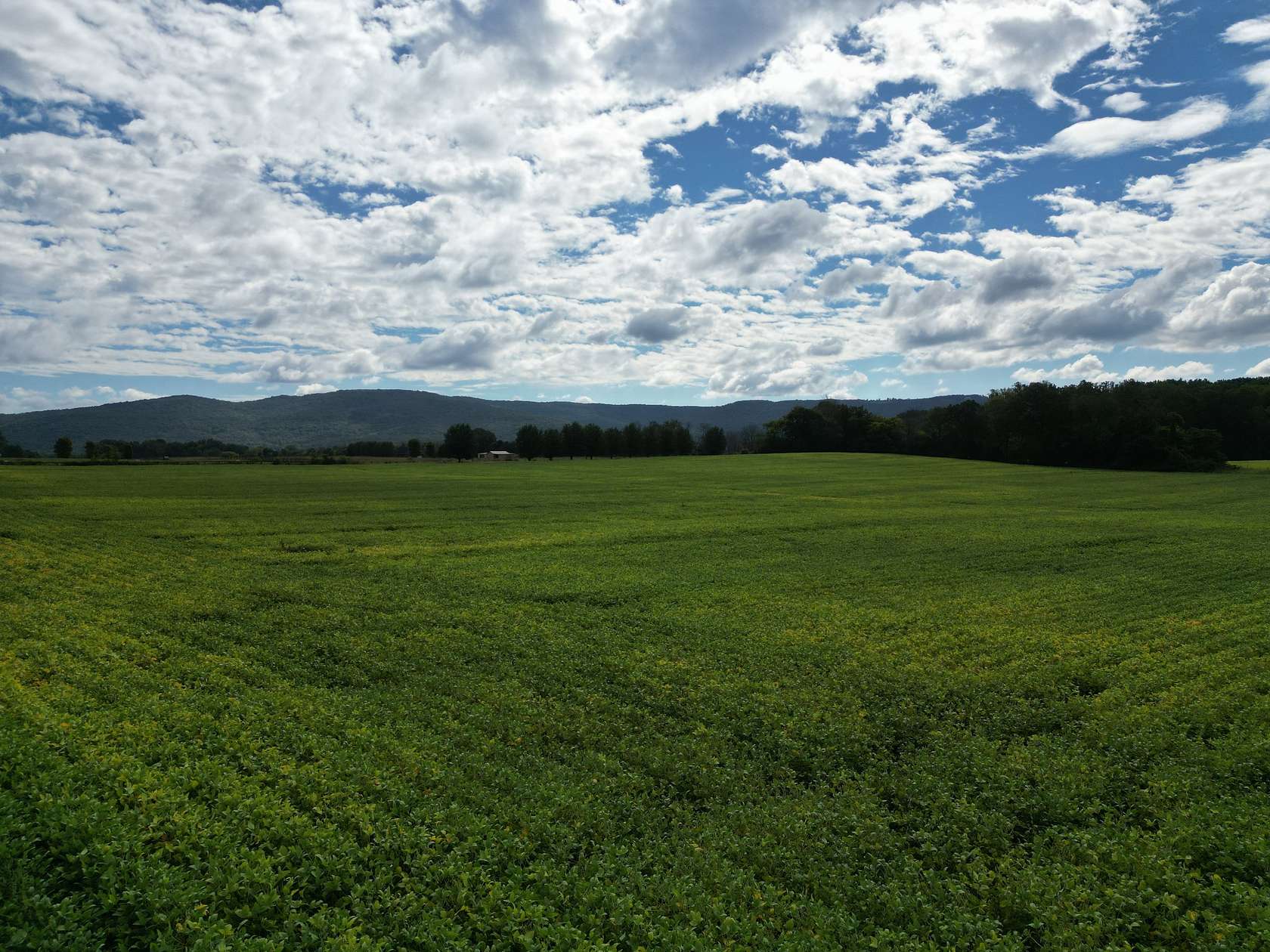 7.78 Acres of Agricultural Land for Sale in Winchester, Tennessee