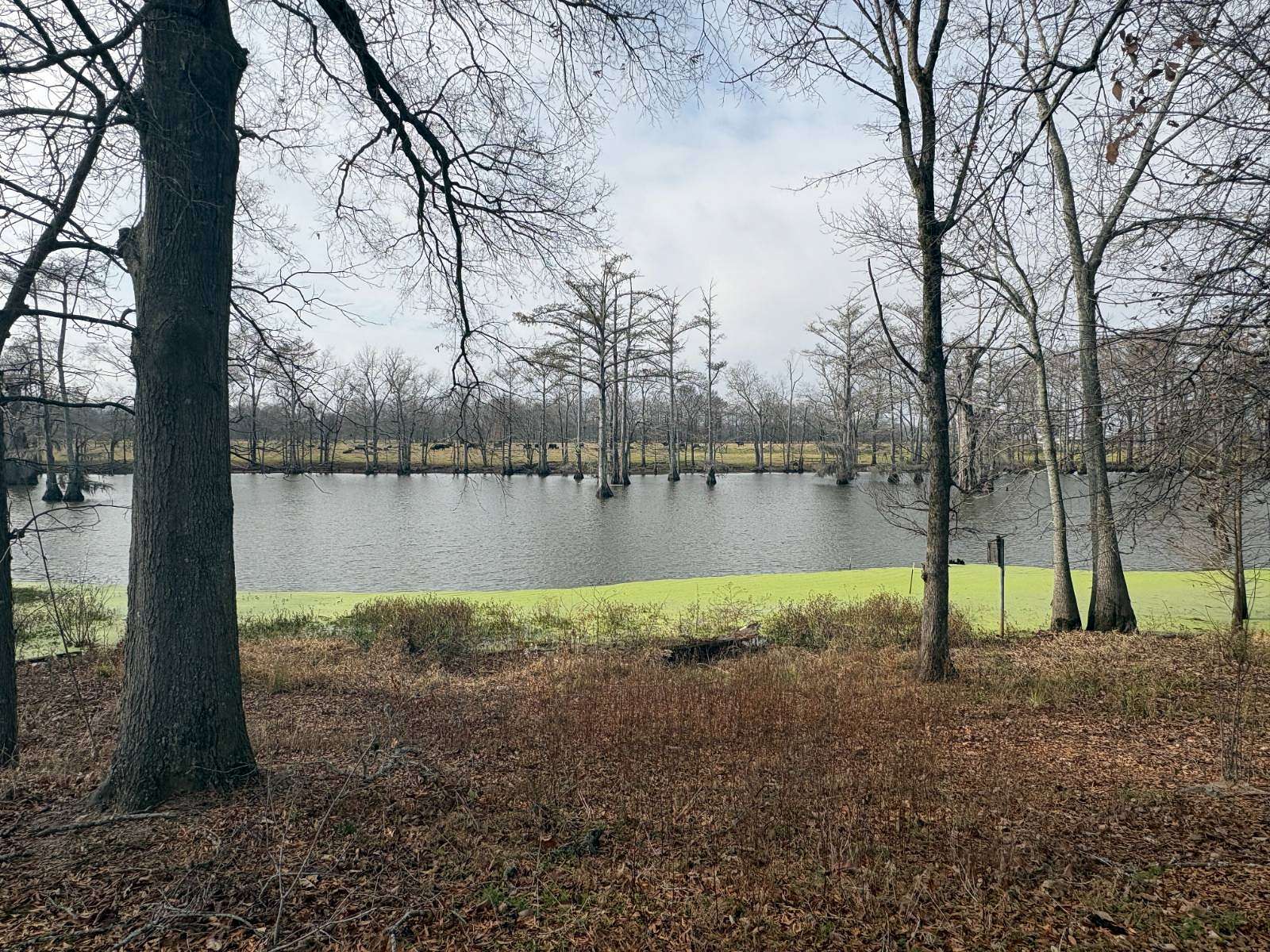 0.33 Acres of Residential Land for Sale in Mer Rouge, Louisiana