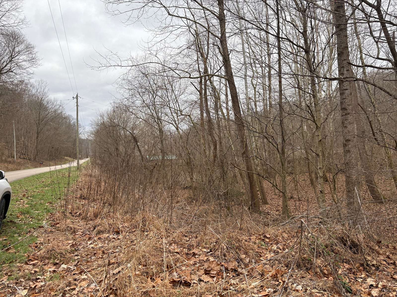 28.3 Acres of Recreational Land for Sale in Tell City, Indiana