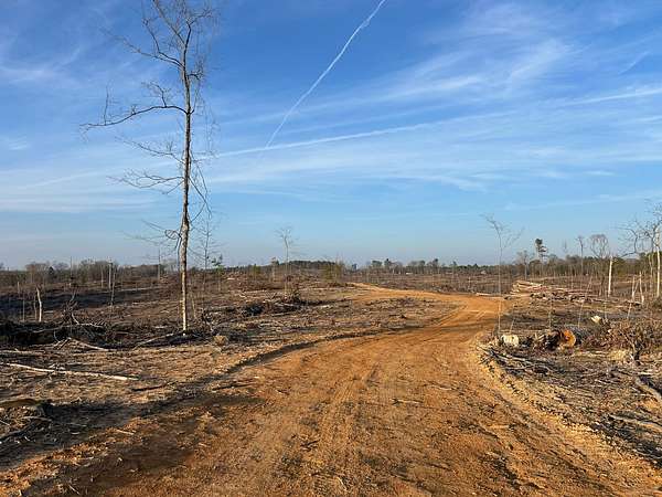 216 Acres of Agricultural Land for Sale in Eupora, Mississippi