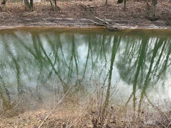 60 Acres of Recreational Land for Sale in Dubois, Indiana