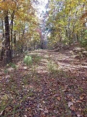 8.62 Acres of Residential Land for Sale in Spring City, Tennessee