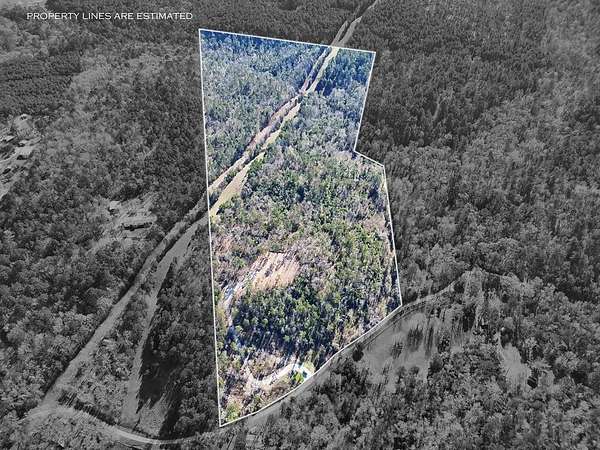 52 Acres of Land for Sale in Palestine, Texas