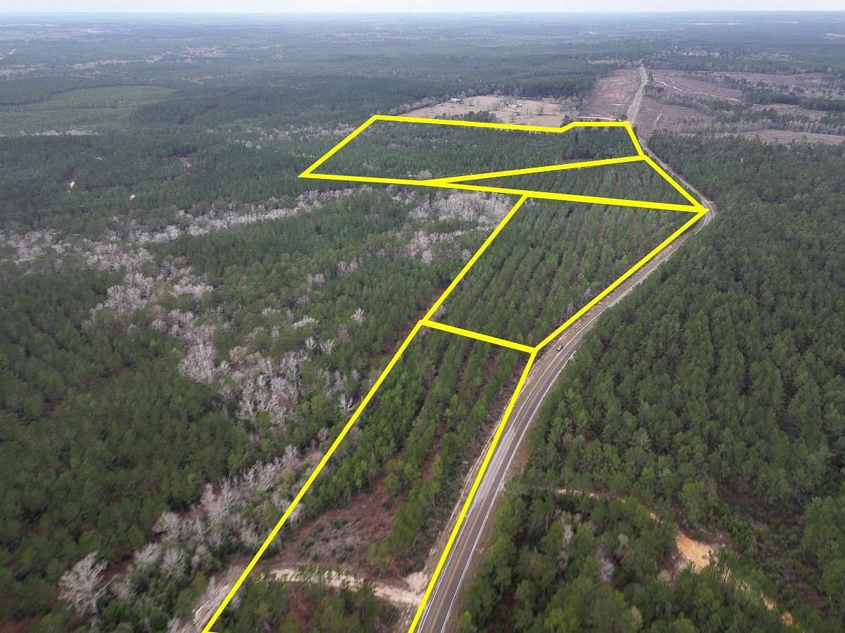 44 Acres of Recreational & Residential Land for Sale in Newton, Texas