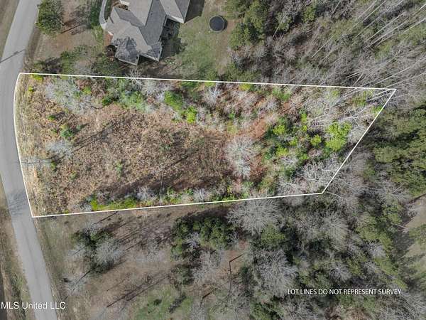 1 Acre of Residential Land for Sale in Sumrall, Mississippi