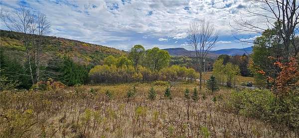 94 Acres of Agricultural Land for Sale in Andes, New York