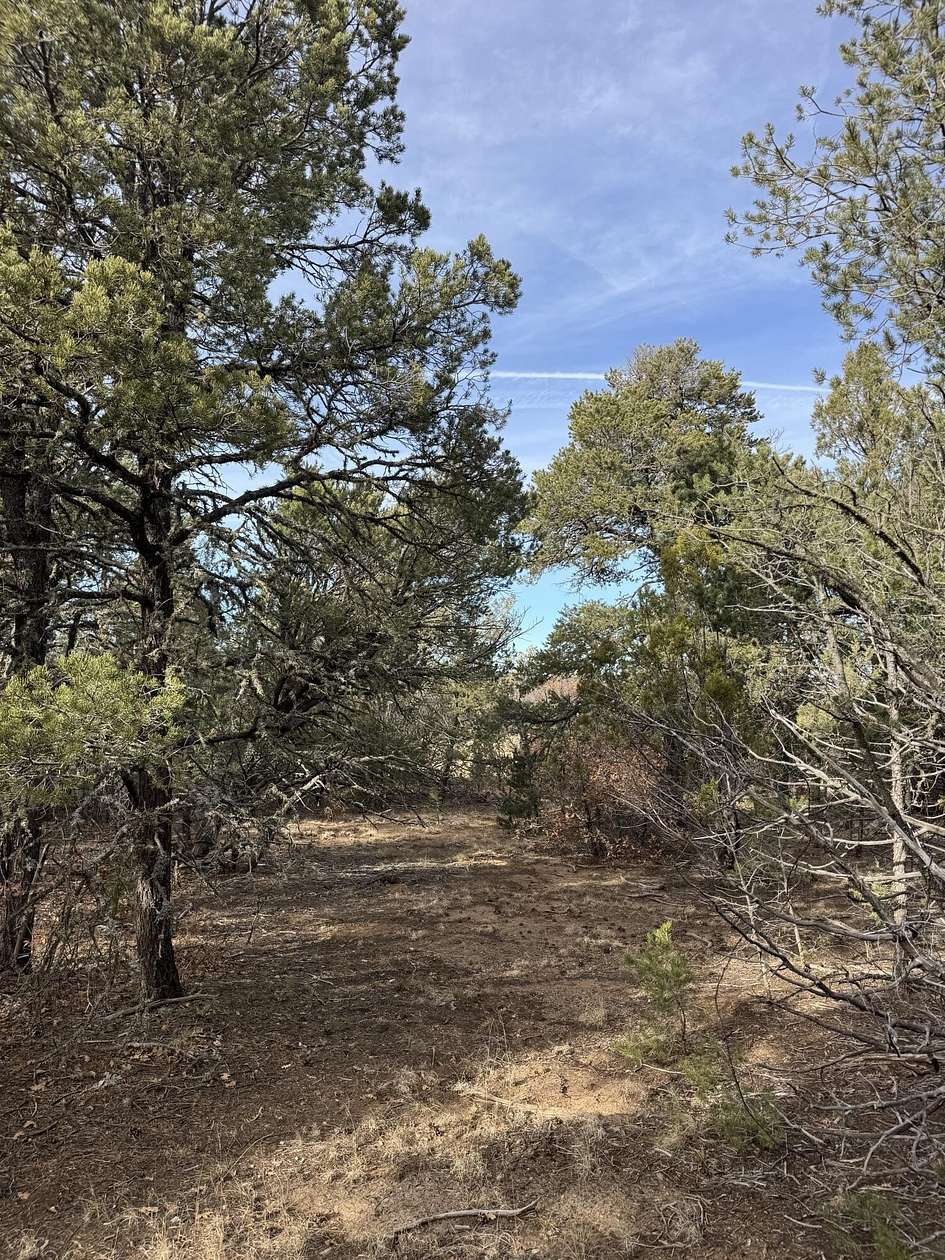 1 Acre of Land for Sale in Tijeras, New Mexico