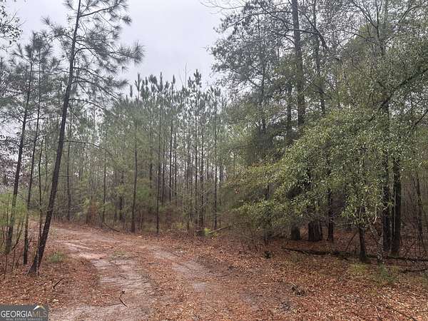 12.4 Acres of Land for Sale in Pine Mountain, Georgia