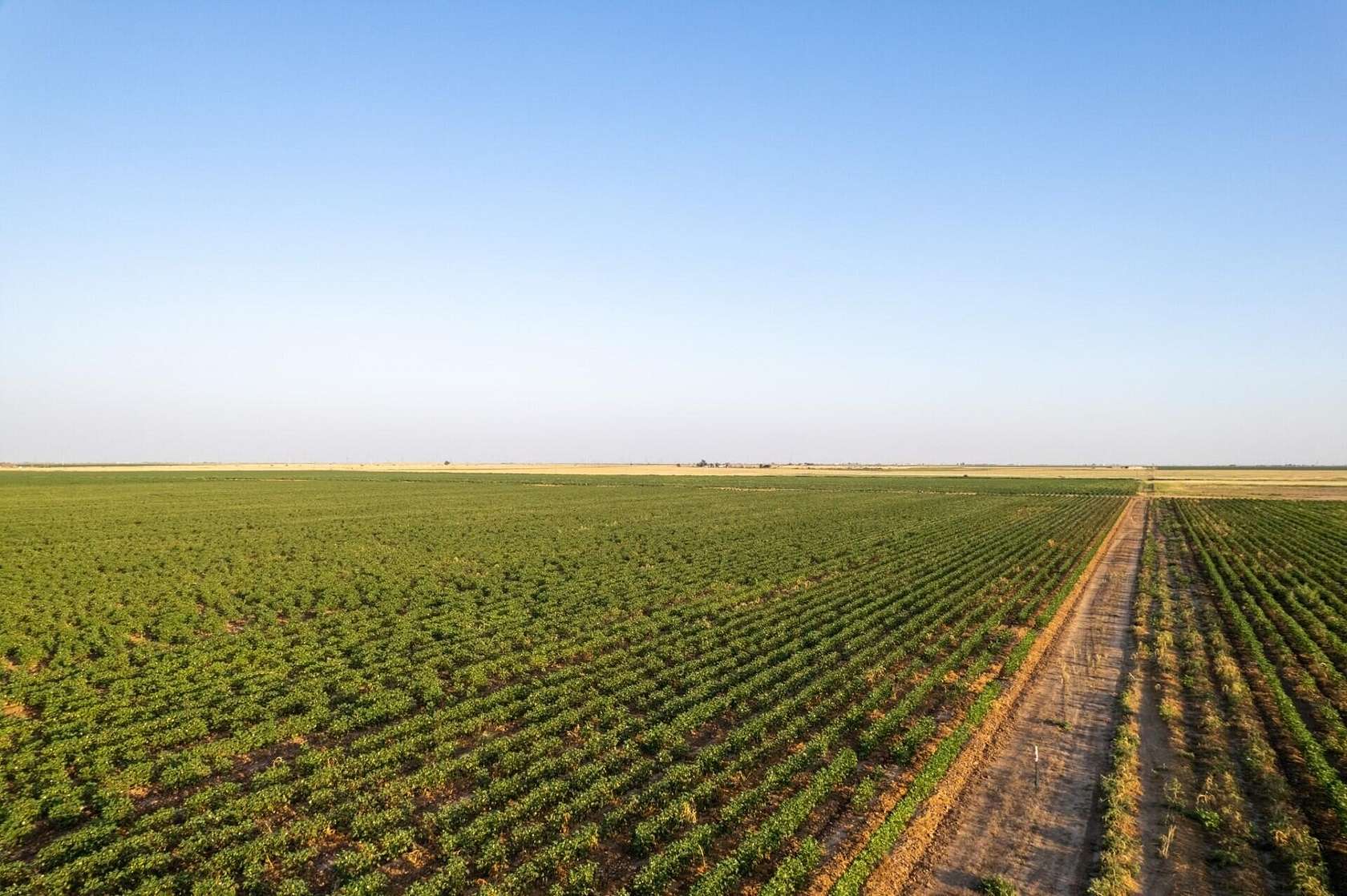 10 Acres of Land for Sale in Abernathy, Texas