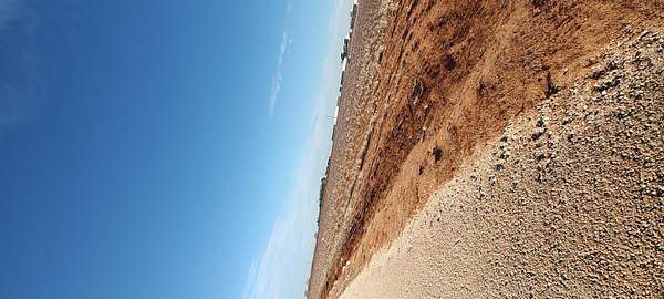 11.8 Acres of Land for Sale in Wellman, Texas