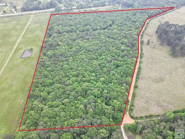35.2 Acres of Recreational Land for Sale in De Kalb, Texas