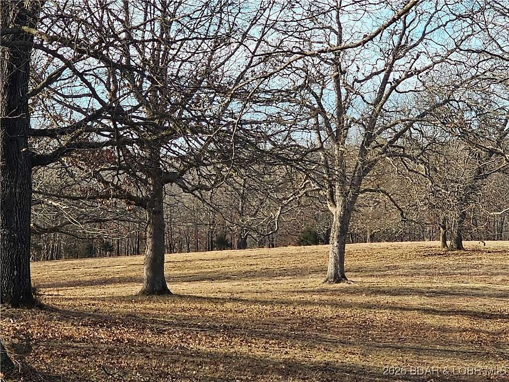 84.8 Acres of Land for Sale in Barnett, Missouri