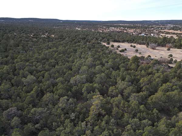 1 Acre of Land for Sale in Tijeras, New Mexico