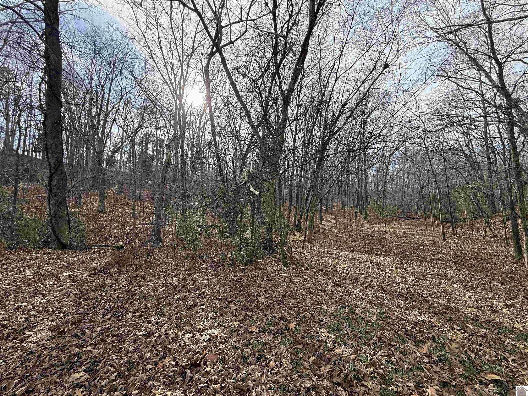 0.35 Acres of Residential Land for Sale in New Concord, Kentucky