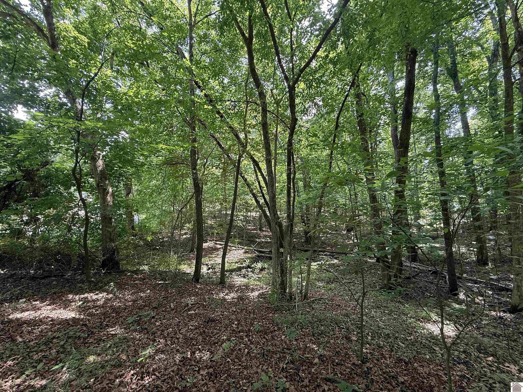 0.35 Acres of Residential Land for Sale in New Concord, Kentucky