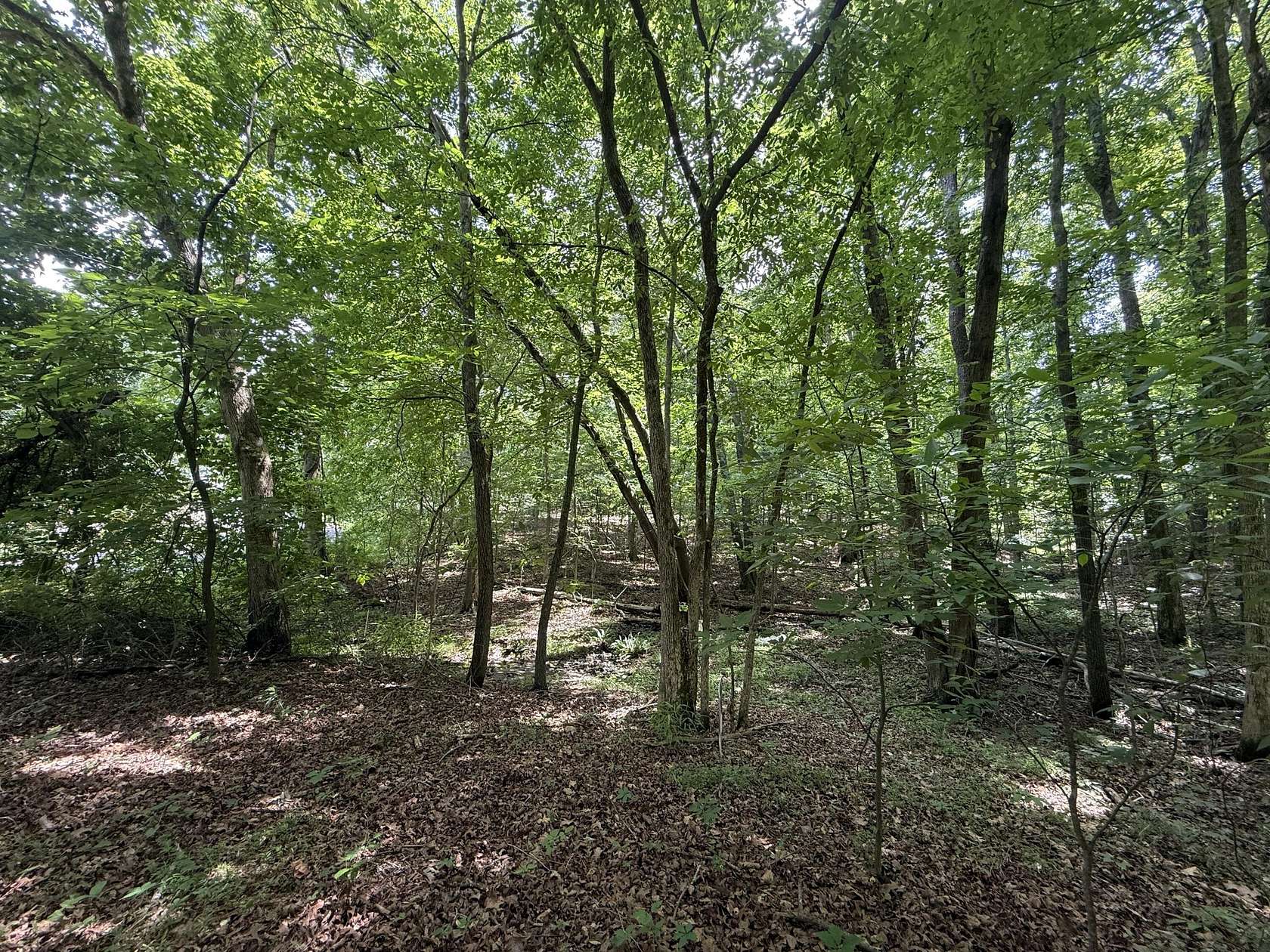 0.35 Acres of Residential Land for Sale in New Concord, Kentucky