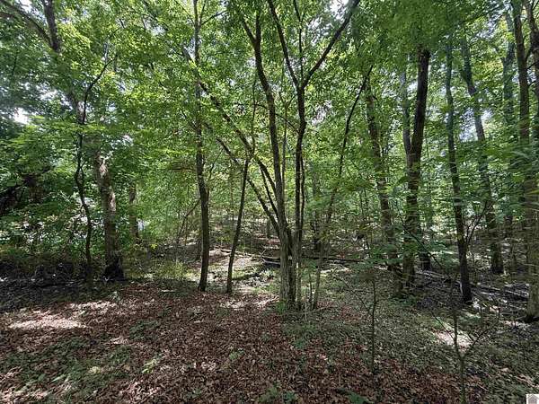 0.35 Acres of Residential Land for Sale in New Concord, Kentucky