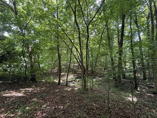 0.35 Acres of Residential Land for Sale in New Concord, Kentucky