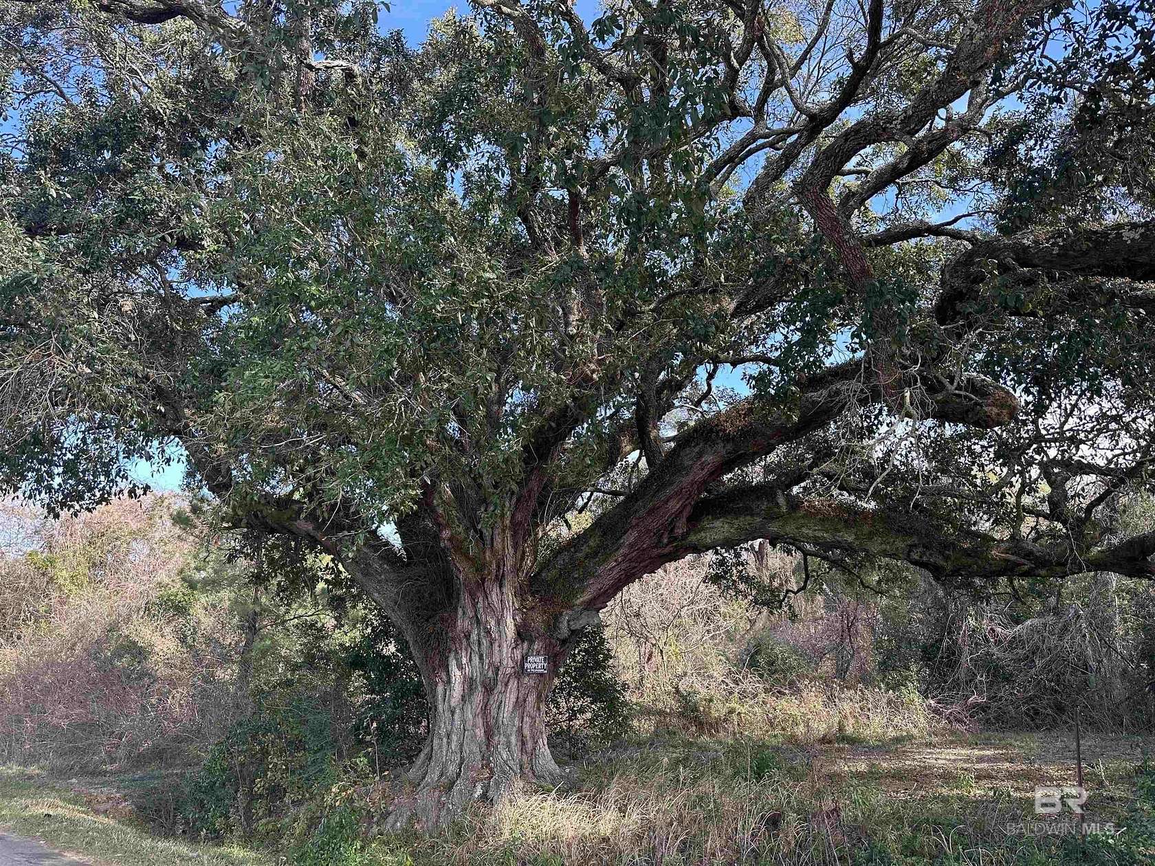 19 Acres of Land for Sale in Daphne, Alabama