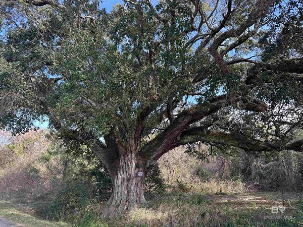 19 Acres of Land for Sale in Daphne, Alabama