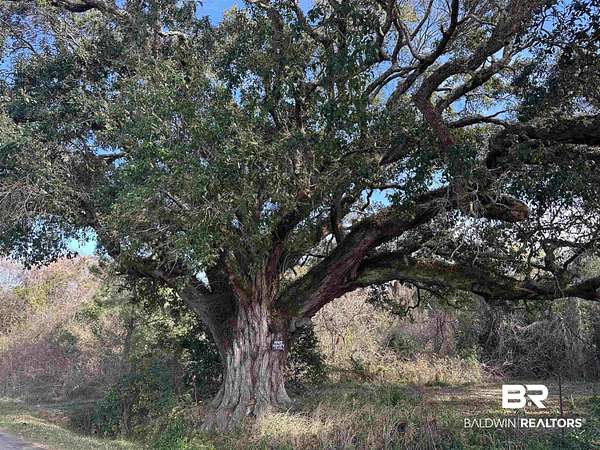 19 Acres of Land for Sale in Daphne, Alabama