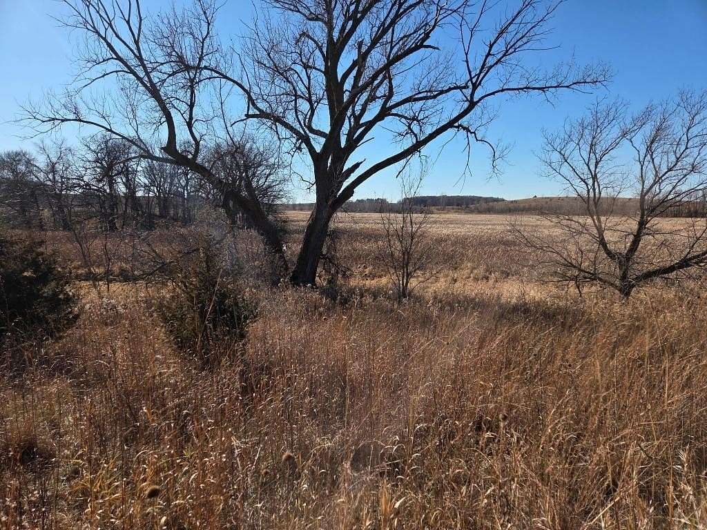 200 Acres of Land for Sale in Montgomery, Minnesota