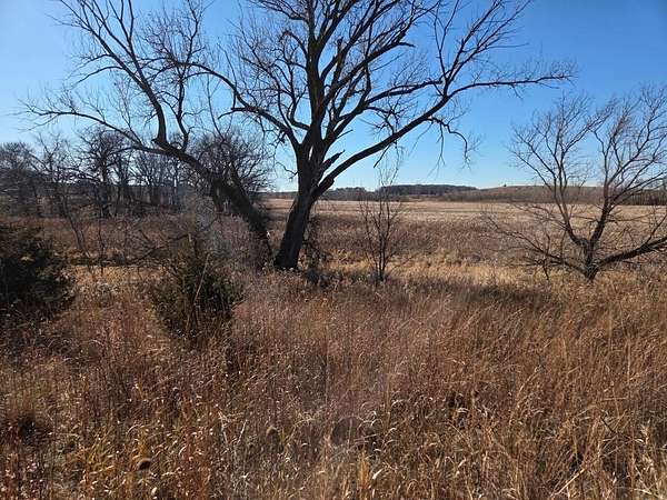 200 Acres of Land for Sale in Montgomery, Minnesota