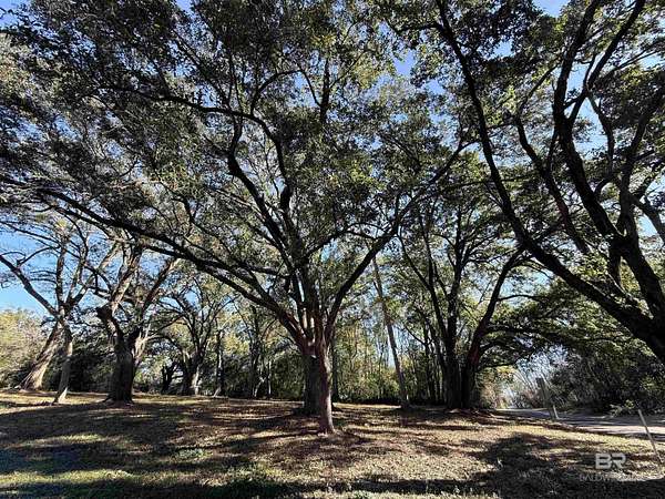 0.31 Acres of Residential Land for Sale in Fairhope, Alabama