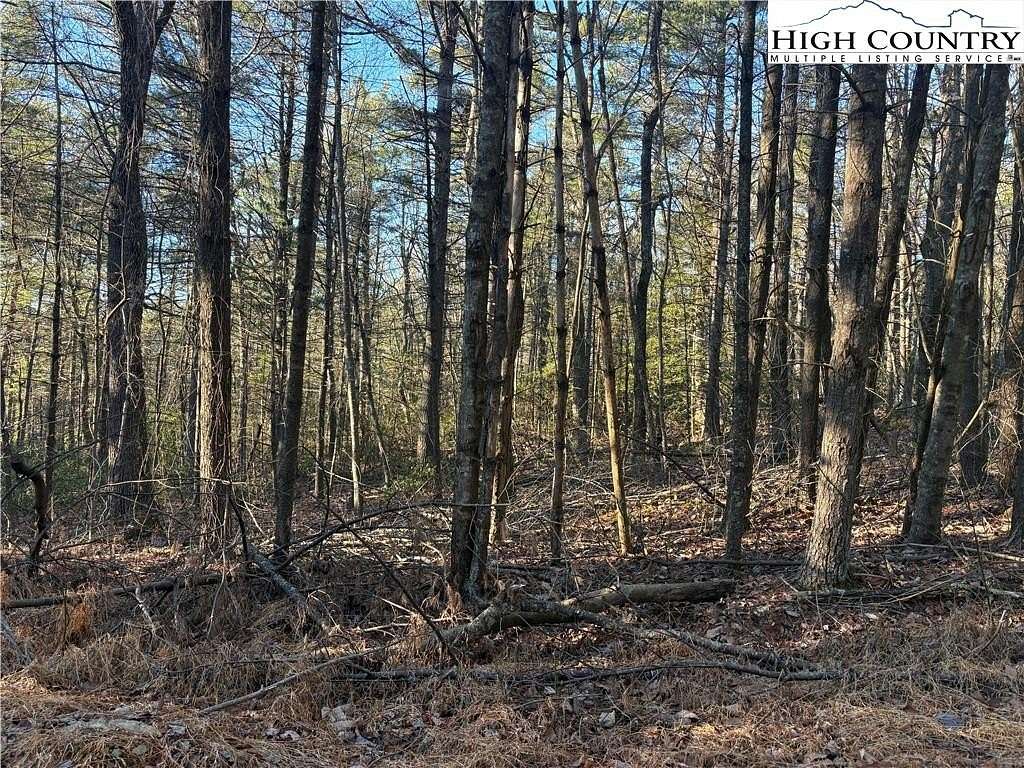 1.42 Acres of Residential Land for Sale in Glade Valley, North Carolina