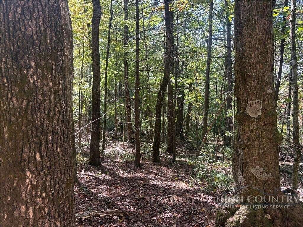 1.42 Acres of Residential Land for Sale in Glade Valley, North Carolina