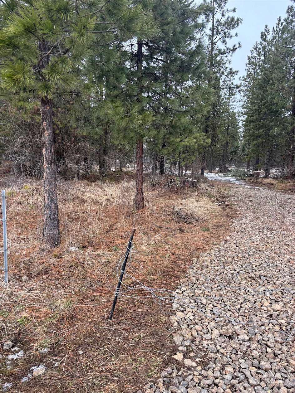 20 Acres of Recreational Land for Sale in Lenore, Idaho