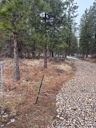 20 Acres of Recreational Land for Sale in Lenore, Idaho