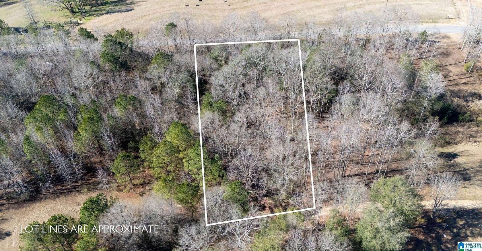 1.12 Acres of Residential Land for Sale in Tuscaloosa, Alabama