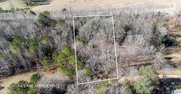 1.12 Acres of Residential Land for Sale in Tuscaloosa, Alabama