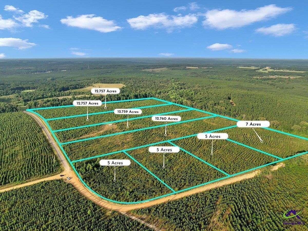 12.8 Acres of Land for Sale in Reynolds, Georgia